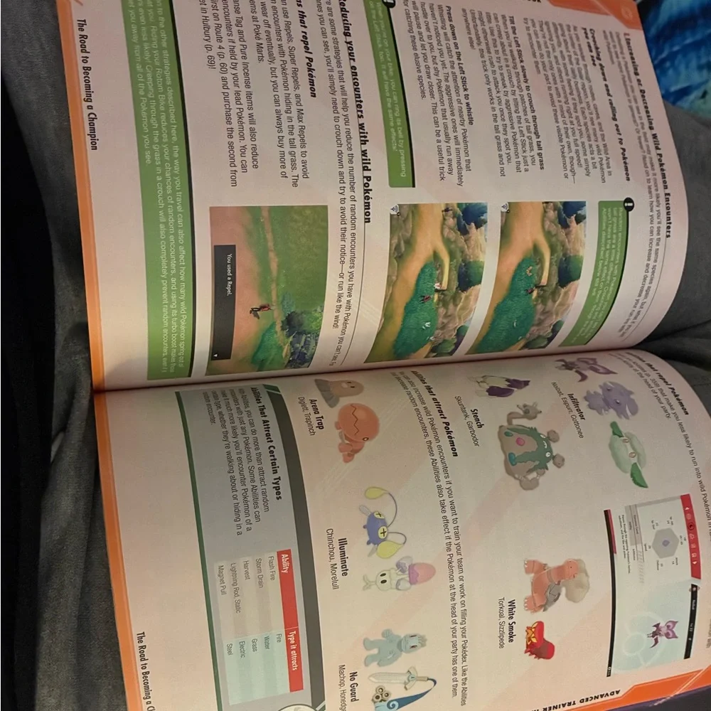 Pokemon Adventure Guide with Colorful Characters